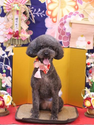 20240106ボーロくん